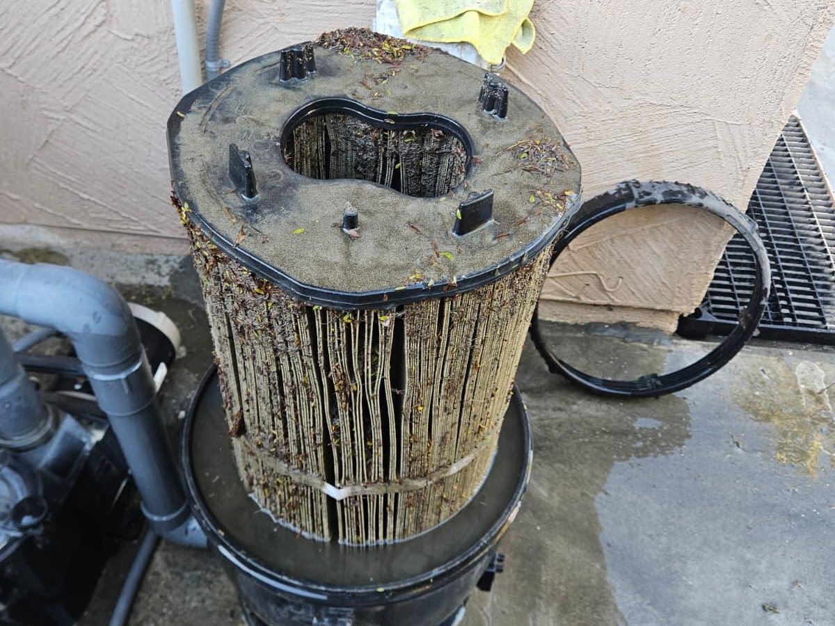 Before: clogged and dirty pool filter cartridge pulled from a Coachella Valley pool